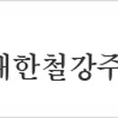 주식회사 대한제철