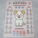 제이엠코코 | 제이엠코코 강아지 밥그릇 후기! 강아지기침 완화에 효과적!