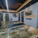 도그스타동물병원 이미지