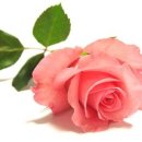 민균농장 이미지