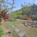 초당산방민박 이미지