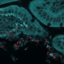 경희채움한의원 이미지