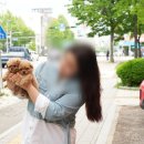 좋은동물병원(출장전문) 이미지