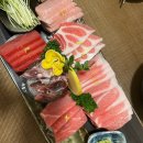켄신참치