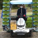 거창읍-8 이미지