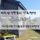 타베니스테이 | 제주시펜션 한경 판포리 용스테이 B동 후기 아기랑 가기 좋은 숙소