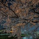 용산천변길 이미지