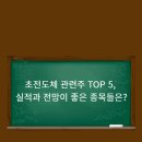 한국신발피혁연구소(한국소재융합연구원) | 초전도체 관련주 TOP 5, 실적과 전망이 좋은 종목들은?