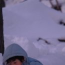 오투상사