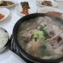 원닭한마리 이미지