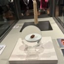 엄마는도슨트 | 대만 국립고궁박물관 도슨트 투어 예약 및 내돈내산 후기