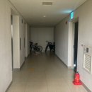 장안근린공원 내 이미지