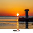 동선새바지 이미지