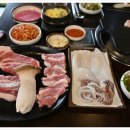 돼지랑돌이랑