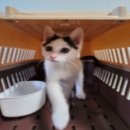 아리 동물병원 이미지