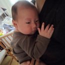 내사랑똥강아지 이미지