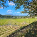 거마천로 이미지