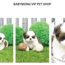 베이비몽 부천점 이미지