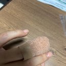 발렌스의원 이미지