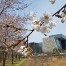 화랑공원 이미지