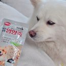 리애 영양죽 1인분 | 강아지보양식 고구마 닭죽 펫퍼스 애견비책 영양죽