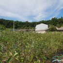 유가네농장 이미지