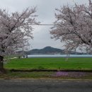 임마누엘어린이집 이미지