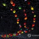 서화상회 이미지