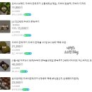 씨유(CU) 의정부신명점 | 두쫀쿠 택배 및 현장구매 의정부 은비스브레드 픽슈 림온심 포천 카페코너 두바이쫀득쿠키 두켓팅...