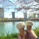 송파구 석촌호수데이트길(밤길) | 석촌호수 벚꽃 산책 코스 추천 총정리 (주차 꿀팁, 동선, 제이바읏 카페, 데이트 코스, 근처 맛집)