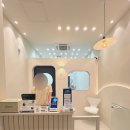 텐즈힐 애견미용 이미지