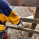 i♡목장 이미지