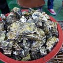 천북굴단지 이미지