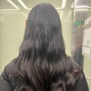 돼지꼬리미용실 이미지