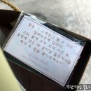 블루미시티 이미지
