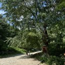 지장산 입구 화장실 이미지