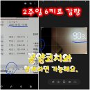 해독센타 네이버블로그