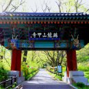 공주-04 이미지