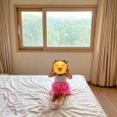 뽑기맨(제이투팩토리) | 4살 아이랑 원주 오크밸리 리조트 2박3일 내돈내산 장단점 솔직 후기