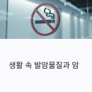 서울석유(주) 항만주유소 | 생활 속 발암물질과 암 예방법