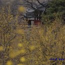 슈챠이 이미지