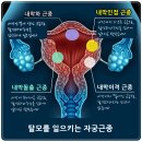 아산자궁근종 탈모가 생기는 이유와 해결 사례