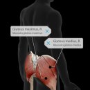 애슬레틱 서래 이미지