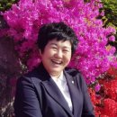 중부-현장-중부-273 이미지