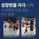 율량태권도 이미지