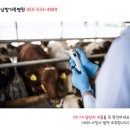 남창가축병원 이미지