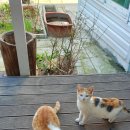 목신농장 네이버블로그