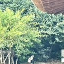 봉하마을 진영생태문화공원 이미지