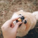 스윗차일드오마인 이미지