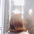디토헤어 이미지